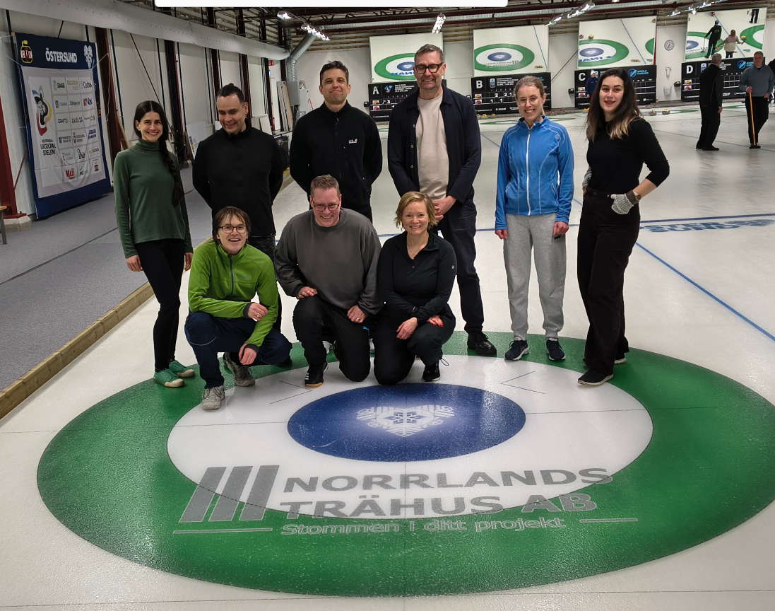 Curling activity as part of the SEE workshop social program
